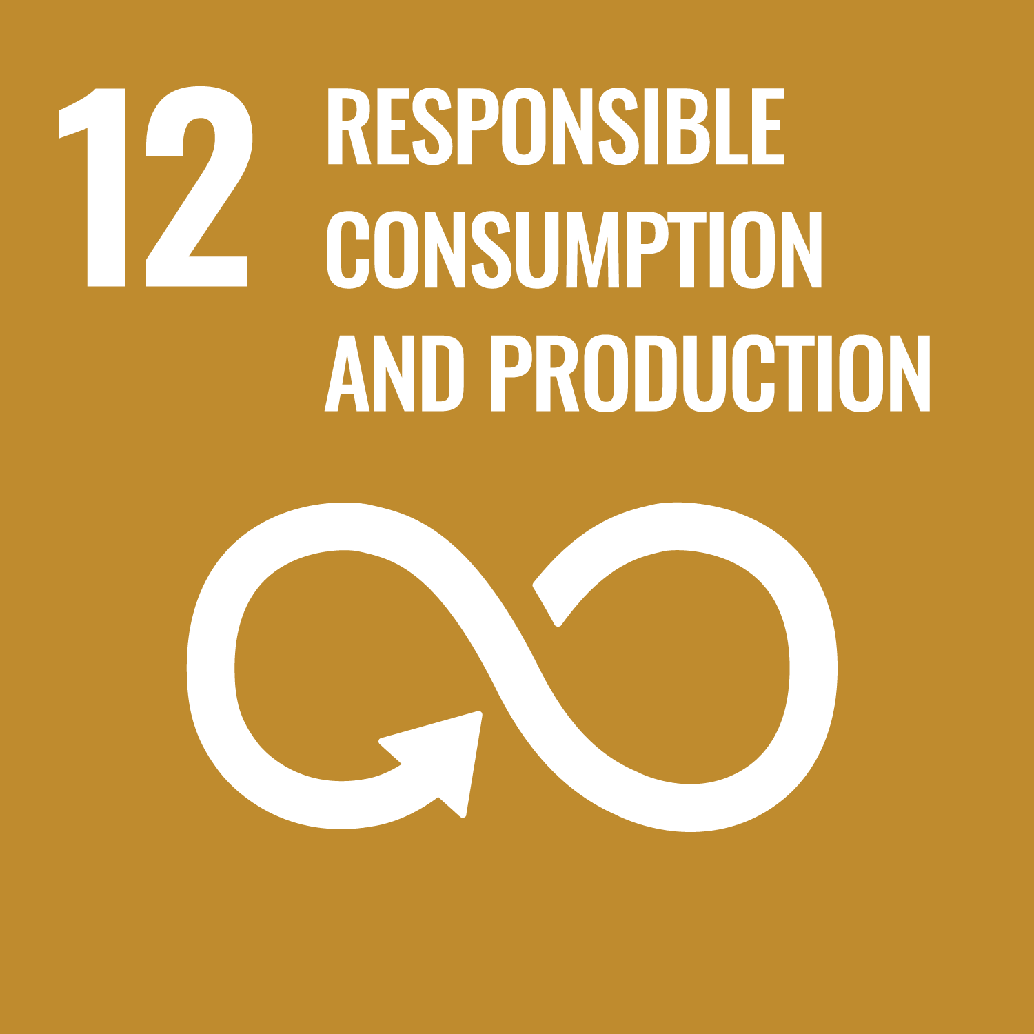 SDG 12: Responsible consumption and production