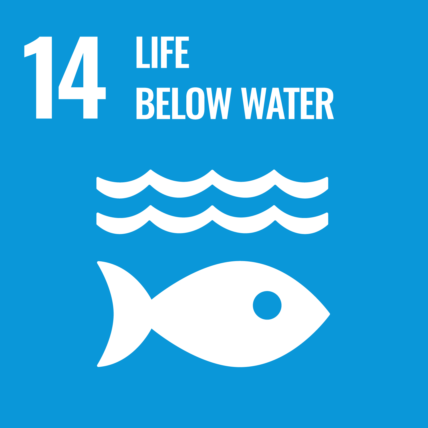 SDG 14: Life below water