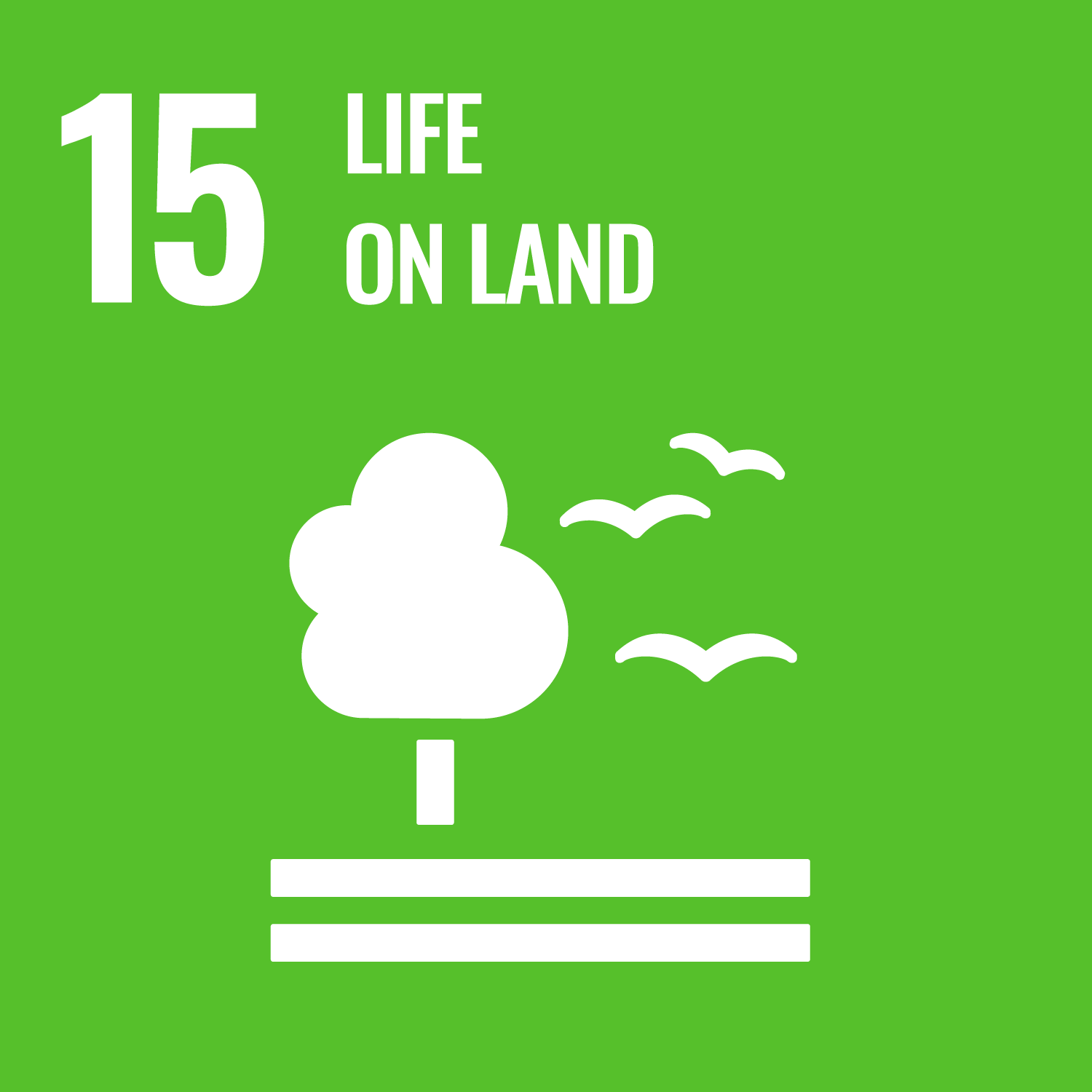 SDG 15: Life on land