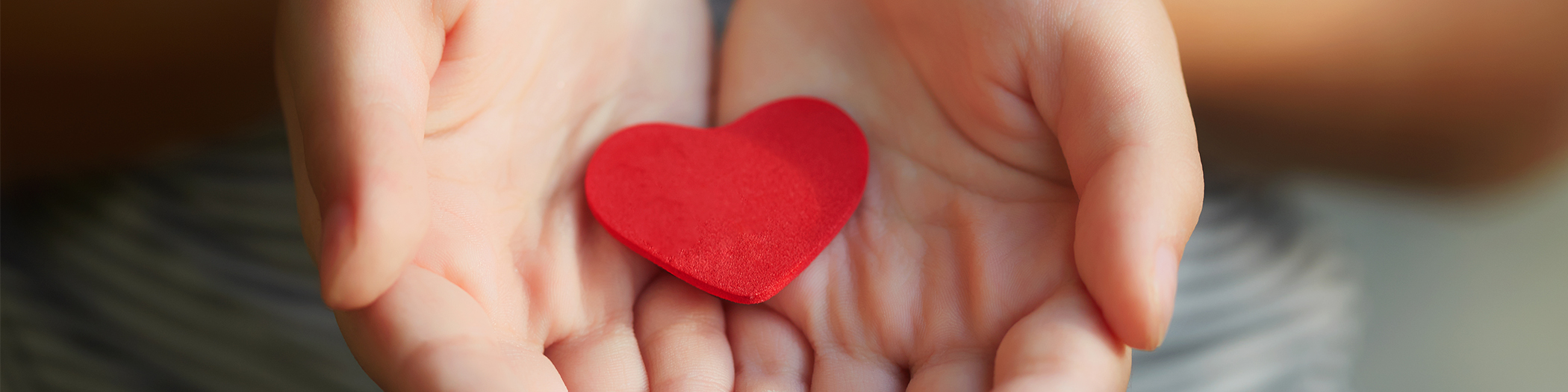 Heart in hands banner