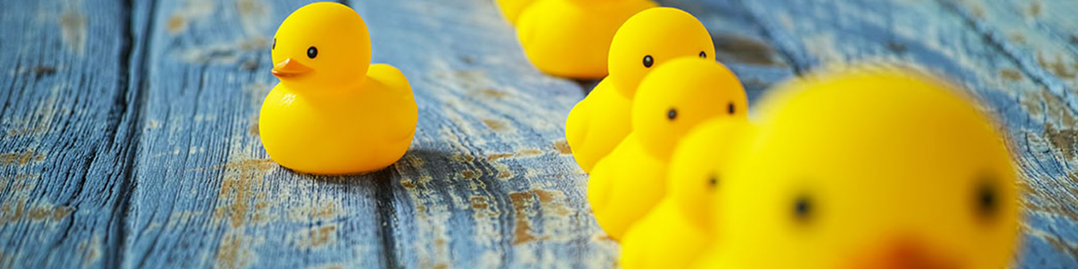 rubber ducks banner